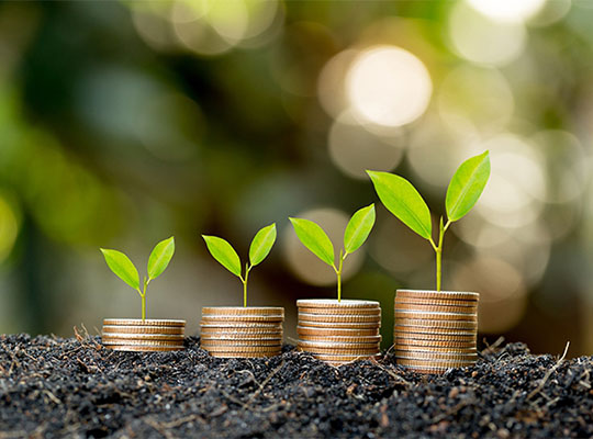 Birikimli Hayat Sigortası